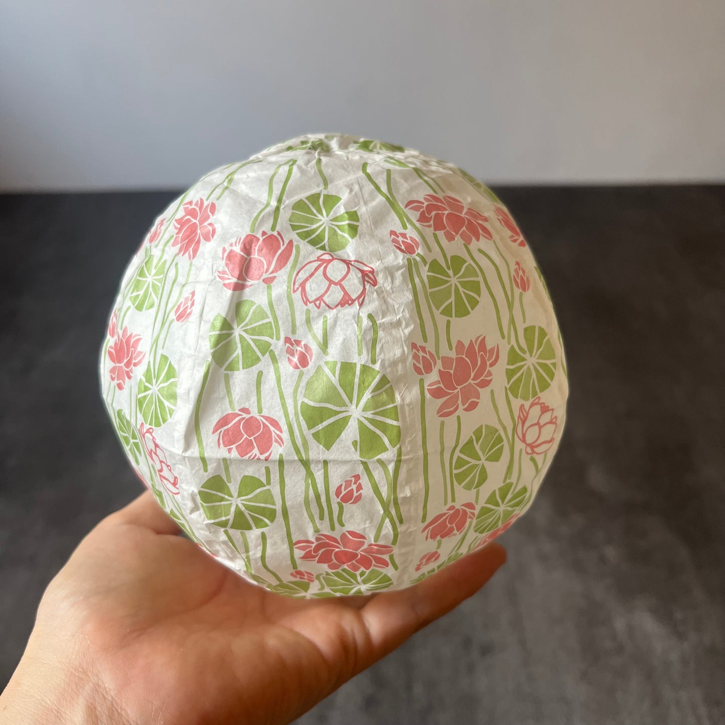 紙風船 蓮の花